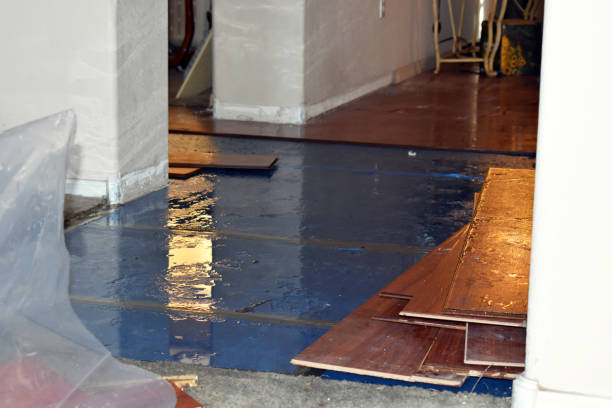Professional Burst Pipe Water Damage technician working in Haydenville, MA